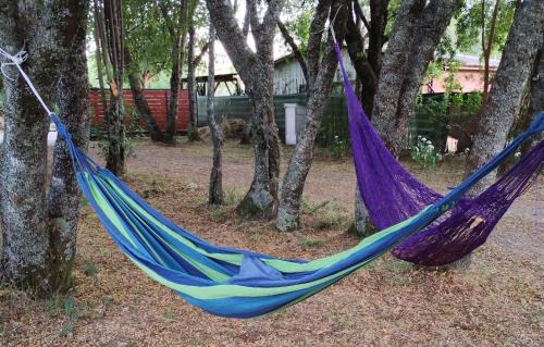 Valdivia House | Casa de Vacaciones Naturalis Lodge - Valdivia