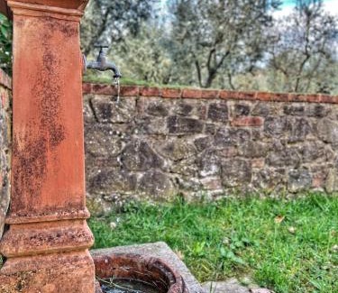 Monte San Savino Villa | Casa degli Ulivi