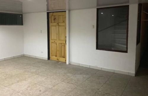 Catedral House | Casa del Arbol, rest in the city
