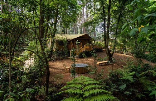 Valle de Bravo Cabin | Casa del Roble Avandaro
