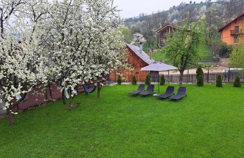 Borsa Villa | Casa din livada