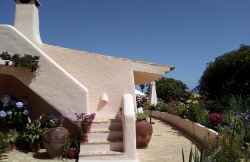 Porto de Mos Villa | Casa do Girassol