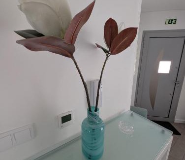 Nazare House | Casa do Guilhim