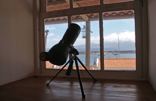 Horta Apartment | Casa do Porto da Horta