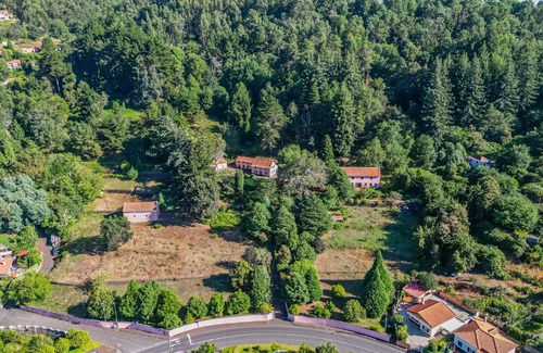 Camacha House | Casa dos Castanheiros