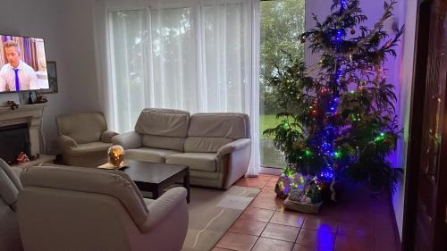 Ribeira Grande House | Casa dos Plátanos