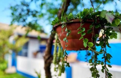 Rio Vermelho Sul House | Casa e piscina com muita natureza - MCC216