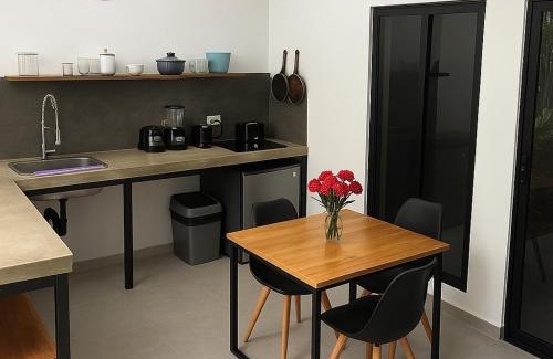 Cocles Apartment | Casa Eden - Modern Peaceful Jungle Apartments