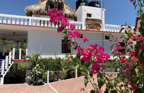 Puerto Angel Apartment | Casa El Delfin, 2nd Floor-Apt. 1 - Estacahuite