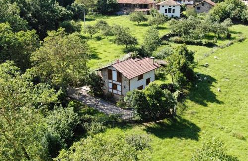Arguebanes Ski Chalet | Casa el Viñadal