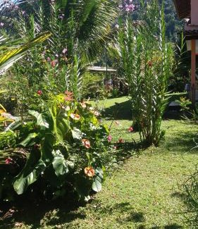 Paraty House | Casa em Paraty parati