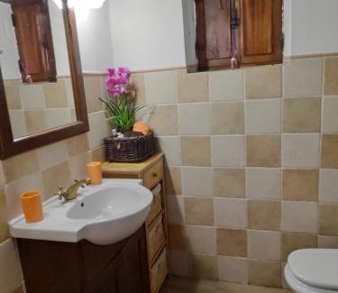 Gondramaz Ski Chalet | Casa em Xisto na Serra da Lousã, Gondramaz
