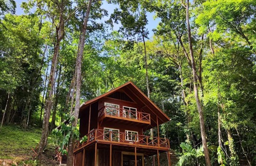 Bocas del Toro House | Casa en la Jungla en Playa Bluff - Casa Laurel