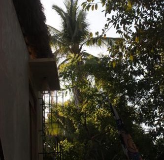 Santa Maria Colotepec Apartment | Casa Euskondido
