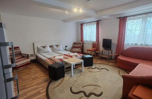 Covasna House | Casa Finna