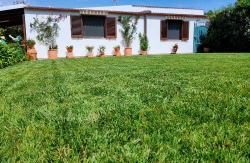 Alghero Apartment | Casa Fiorita Alghero