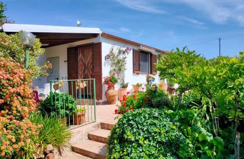 Alghero Apartment | Casa Fiorita Alghero