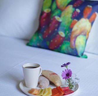 Atlixco Hotel | Casa Flores Hotel & Spa