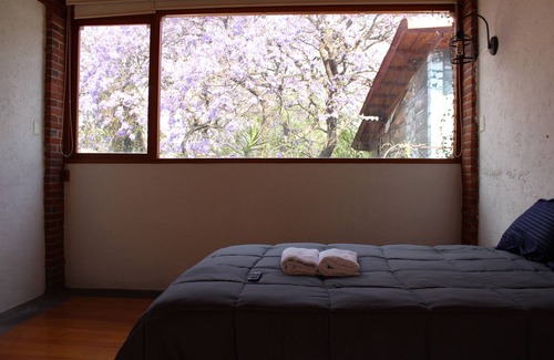 Coyoacan Bed & Breakfast | Casa Frida Coyoacan