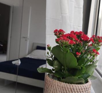 Licola Apartment | Casa Gimaga