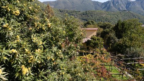 Tramonti House | Casa Giordano