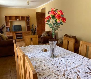Vicuna House | Casa grande Campestre, Vicuña, Valle del Elqui