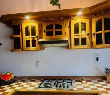 Manzanillo House | Casa Iguanas