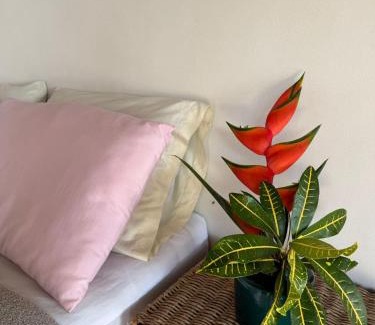 Praia de Aracatiba House | Casa Ilha Grande