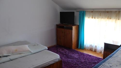 Gura Humorului Apartment | Casa in Bucovina