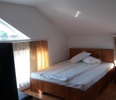 Gura Humorului Apartment | Casa in Bucovina