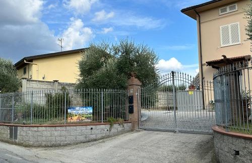 Lamporecchio House | Casa in mezzo agli Ulivi
