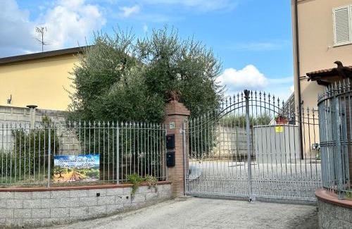 Lamporecchio House | Casa in mezzo agli Ulivi