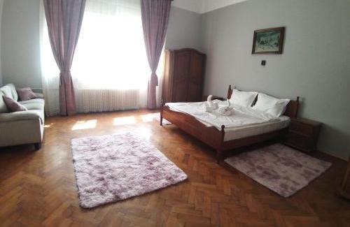 Oradea House | Casa in regim hotelier