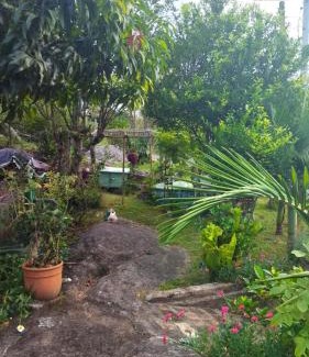Forte House | Casa Inteira em Jurerê In e vista panorâmica