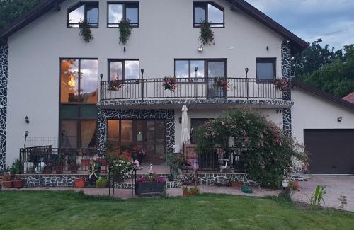 Horezu House | Casa Irina