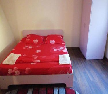 Baile Herculane House | CASA IZA