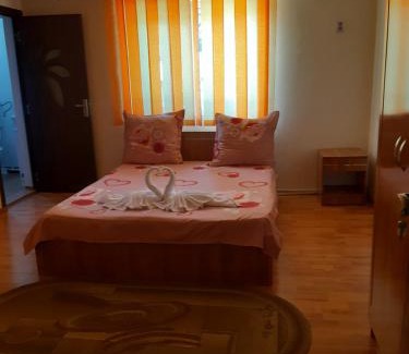 Baile Herculane House | CASA IZA