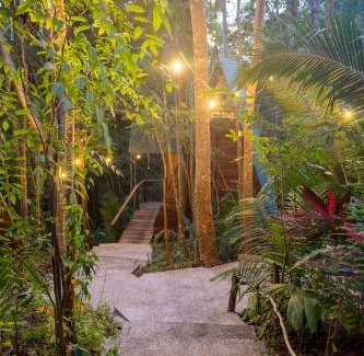 San Francisco Villa | Casa Jaguar Retreat