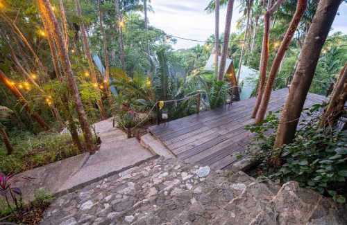 San Francisco Villa | Casa Jaguar Retreat