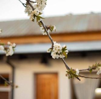 Esquel House | Casa Jardin Adesmia