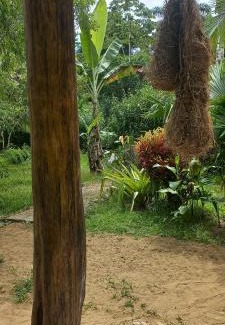 Cahuita Villa | Casa Katharina