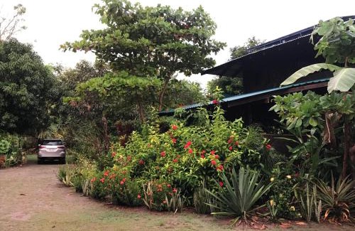 Puerto Jimenez House | Casa Kumbaya Costa Rica