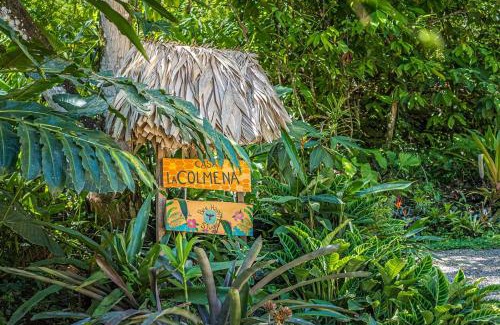 Cahuita Ski Chalet | Casa la Colmena
