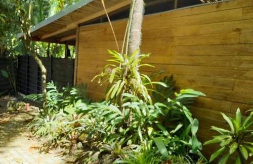 Cahuita Ski Chalet | Casa la Colmena