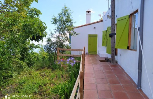 La Orotava House | Casa La Jara