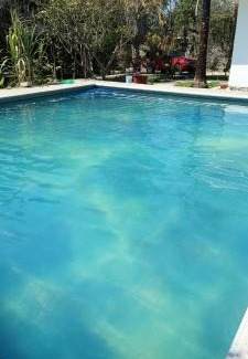 Miacatlan House | Casa la jungla
