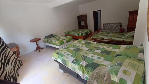Miacatlan House | Casa la jungla