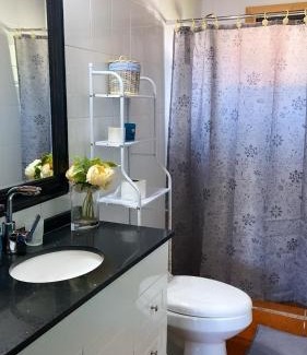 Lican Ray House | Casa lican Ray vista al lago