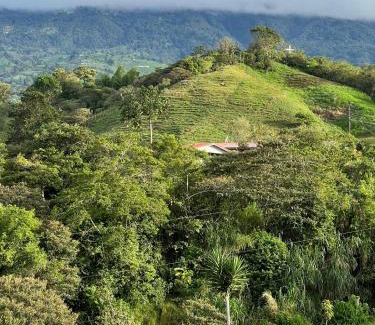 Santa Cruz de Turrialba House | Casa Livity