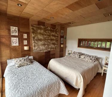 Neltume House | Casa Llallalca